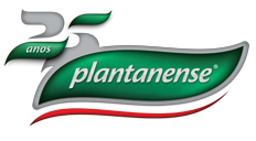 Plantanense