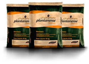 Sementes Plantanense